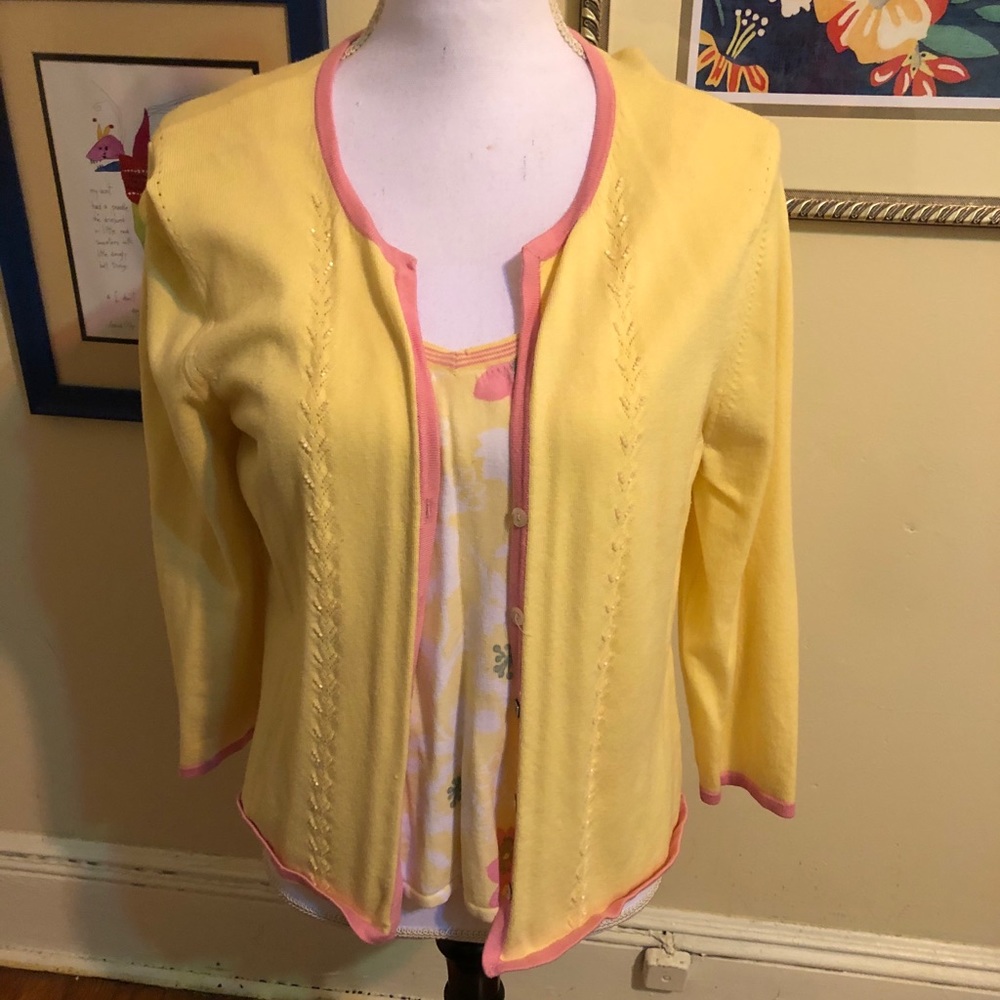 Sigrid Olson sweater set